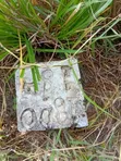 150 Acres Commercial Land for Sale, Mlandizi Kibaha Pwani - 2