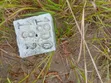 150 Acres Commercial Land for Sale, Mlandizi Kibaha Pwani - 3