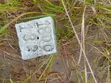 150 Acres Commercial Land for Sale, Mlandizi Kibaha Pwani - 4