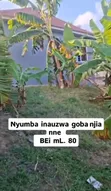 3 Bedroom House for Sale in Goba - 4