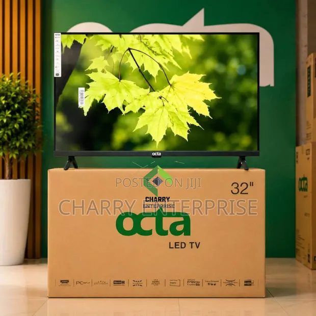 Octa Normal 32-Inch Frameless LED TV - 1