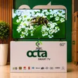 Octa Smart Android UHD Frameless TV 60 Inch - 1