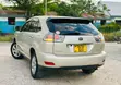 Toyota Harrier 2005 Gold - 1