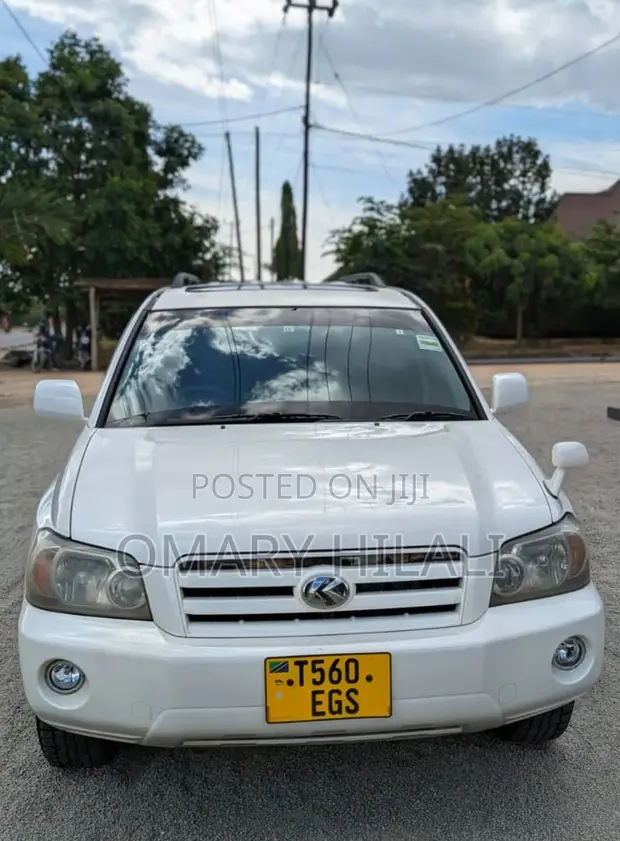 Toyota Kluger 2004 Pearl - 1