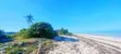 Beachfront Land for Sale at Makunduchi, Zanzibar - 2