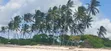 Beachfront Land for Sale at Makunduchi, Zanzibar - 4