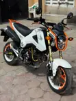 Honda MSX 125cc 2017 - White - 2