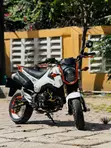 Honda MSX 125cc 2017 - White - 3