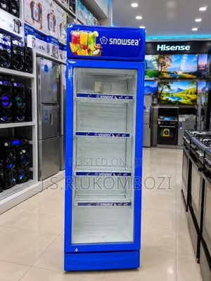 Snowsea Showcase Refrigerator 280L