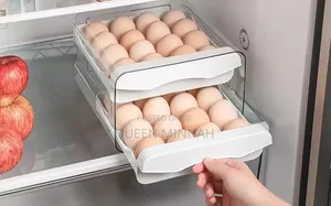 Egg Organizer