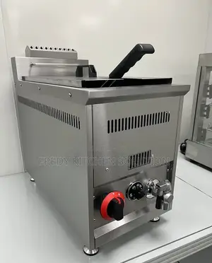 18L Commercial LPG Gas Fryer - Brand New