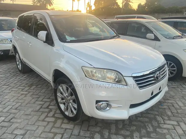 Toyota Vanguard 2010 Pearl - 1