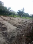 Residential Land for Sale - Ukonga Bombambili - 5