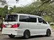 Toyota Alphard 2007 - Pearly White - 2