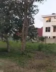 Plot for Sale in Kibada, 600 sqm - 2