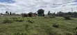 8000 sqm Plot for Sale, Bahari Beach - 1
