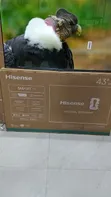 Hisense 43 Inch A4 Series Smart TV - 1
