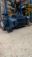 Pedrollo Surface Pump 25hp (2"x3") F50/200a - 1
