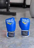 Bodygym Evarist Boxing Gloves (Brand New) - 1