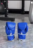 Bodygym Evarist Boxing Gloves (Brand New) - 2