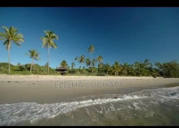 Beach Plot for Sale at Saadani National Park Facing Zanzibar - 1