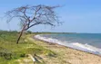Beach Plot for Sale at Saadani National Park Facing Zanzibar - 4