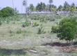 Beach Plot for Sale at Saadani National Park Facing Zanzibar - 5