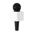 Microphone Handle Logo Box - 2