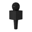 Microphone Handle Logo Box - 3