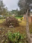 6-Bedroom House for Sale in Iringa Municipal - 5