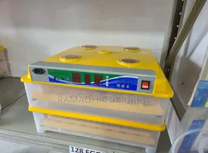 Incubator for Chicken Eggs (60 Egg Capacity)