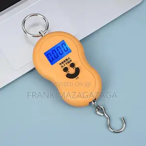 Digital Scale 1-50kg
