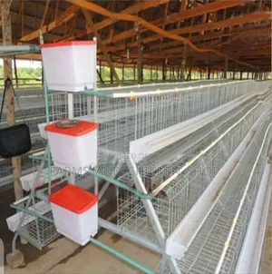 New 3-Tier Chicken Cage (96)