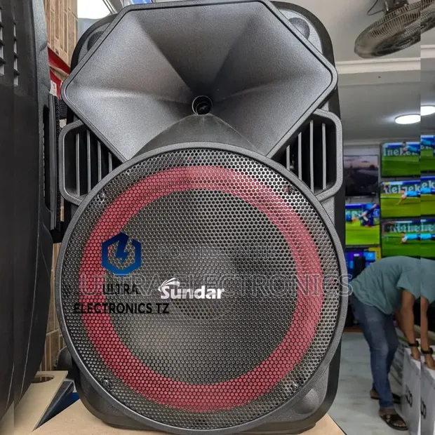 Sundar SD3010BT 10-Inch Portable Rechargeable Speaker with Wireless Mic - 1