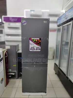 Roch Double Door Combi Fridge 248L with Bottom Freezer