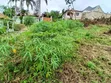 Kimara Baruti 900sqm Residential Land - 3