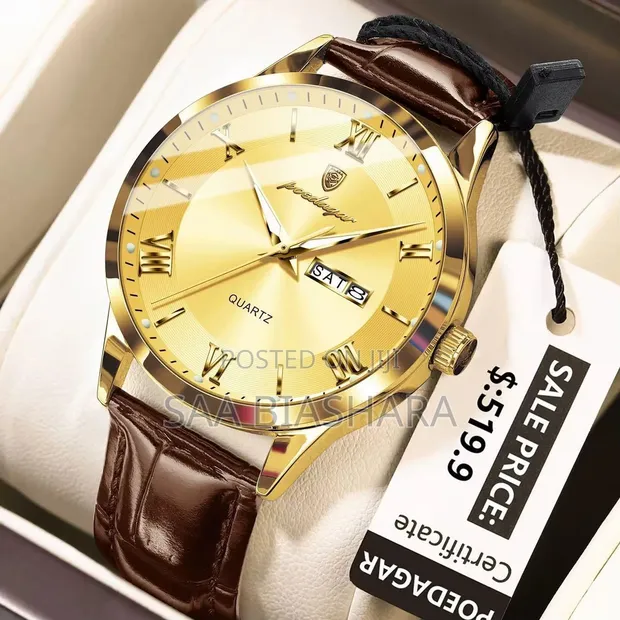 Poedagar Luxury 978L Watch - Brown Leather, Gold Case - 1