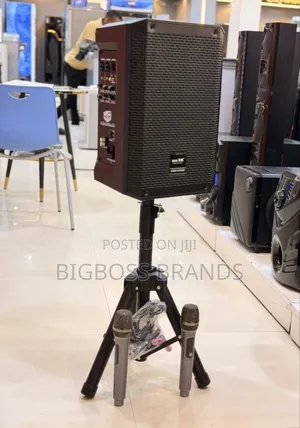 Mr UK T802 Professional Bluetooth Speaker with 2 Mics (300W)