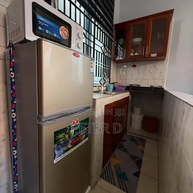 Furnished 1-Bedroom Apartment for Rent in Kinondoni - 1