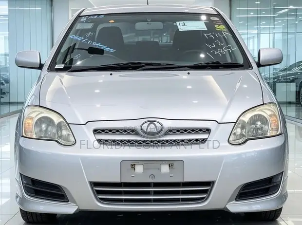 Toyota Allex 2005 Silver - 1