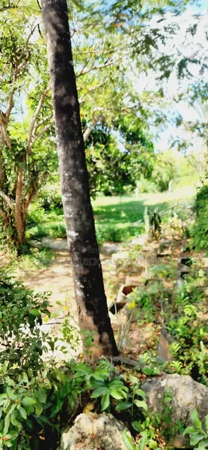 3 Bedroom House with Plot for Sale in Makongo, Goba