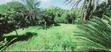 3 Bedroom House with Plot for Sale in Makongo, Goba - 5