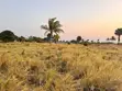 Kimbiji Beach Plot for Sale - 585 sqm - 3