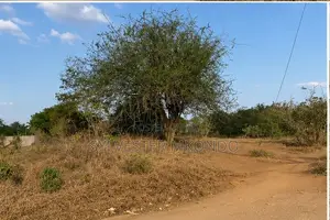 Land Plot for Sale in Chalinze