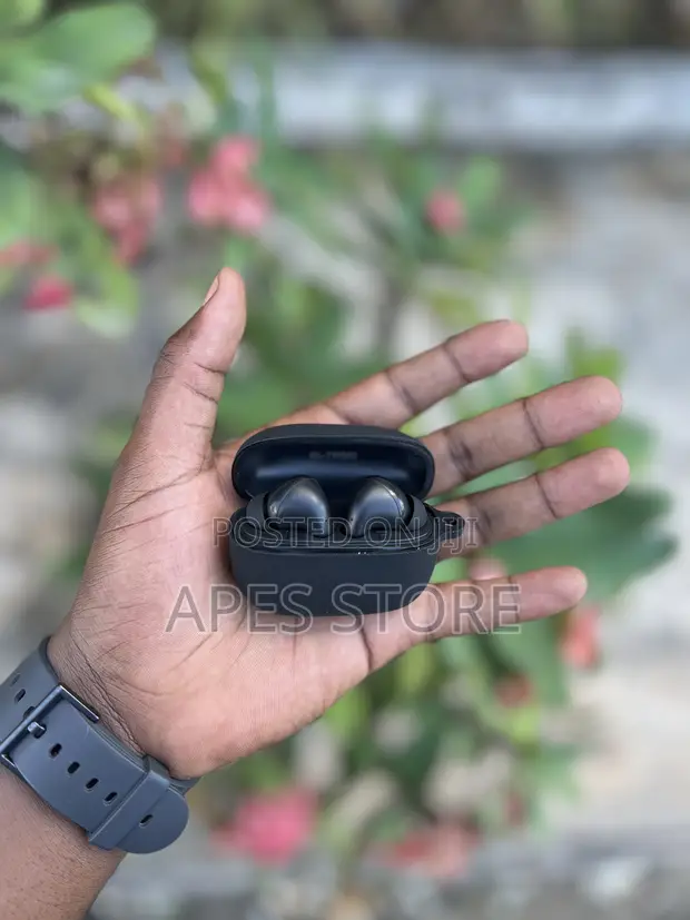 Greenlion Santorini 2 Wireless Earbuds with Case - 1