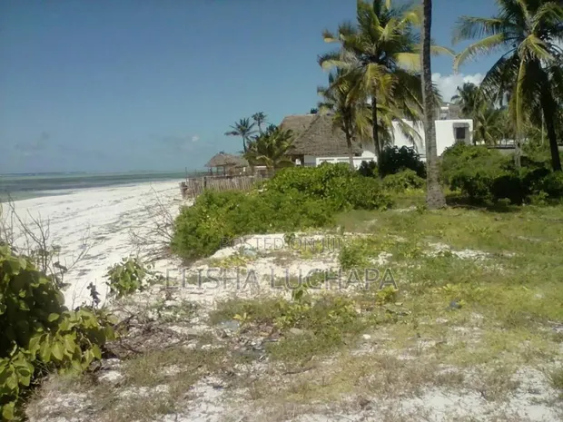 20 Acres Beach Plot with 7 Houses for Sale, Kilwa - 1