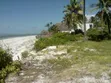 20 Acres Beach Plot with 7 Houses for Sale, Kilwa - 1
