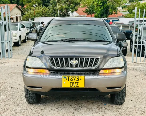 Toyota Harrier 2004 Gray - 1