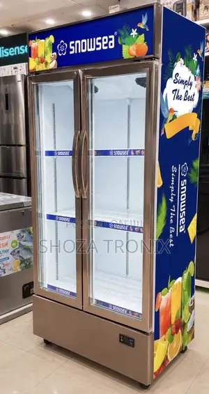 Snow Sea Showcase Double Door L650 (SN683S)