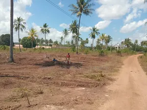 4-Acre Beach Plot for Sale at Kigamboni Mwasonga